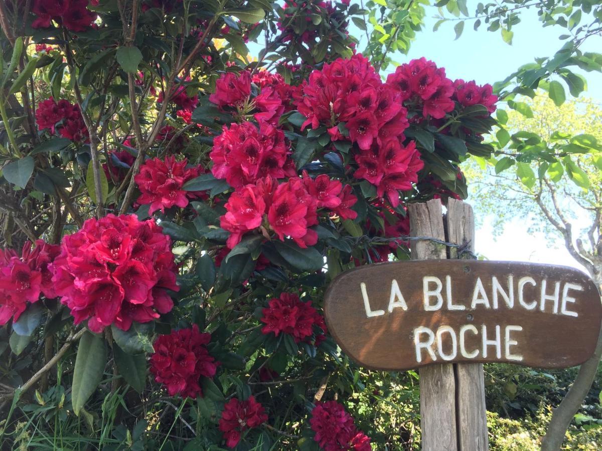 Sourdeval La Blanche Roche B&B 외부 사진