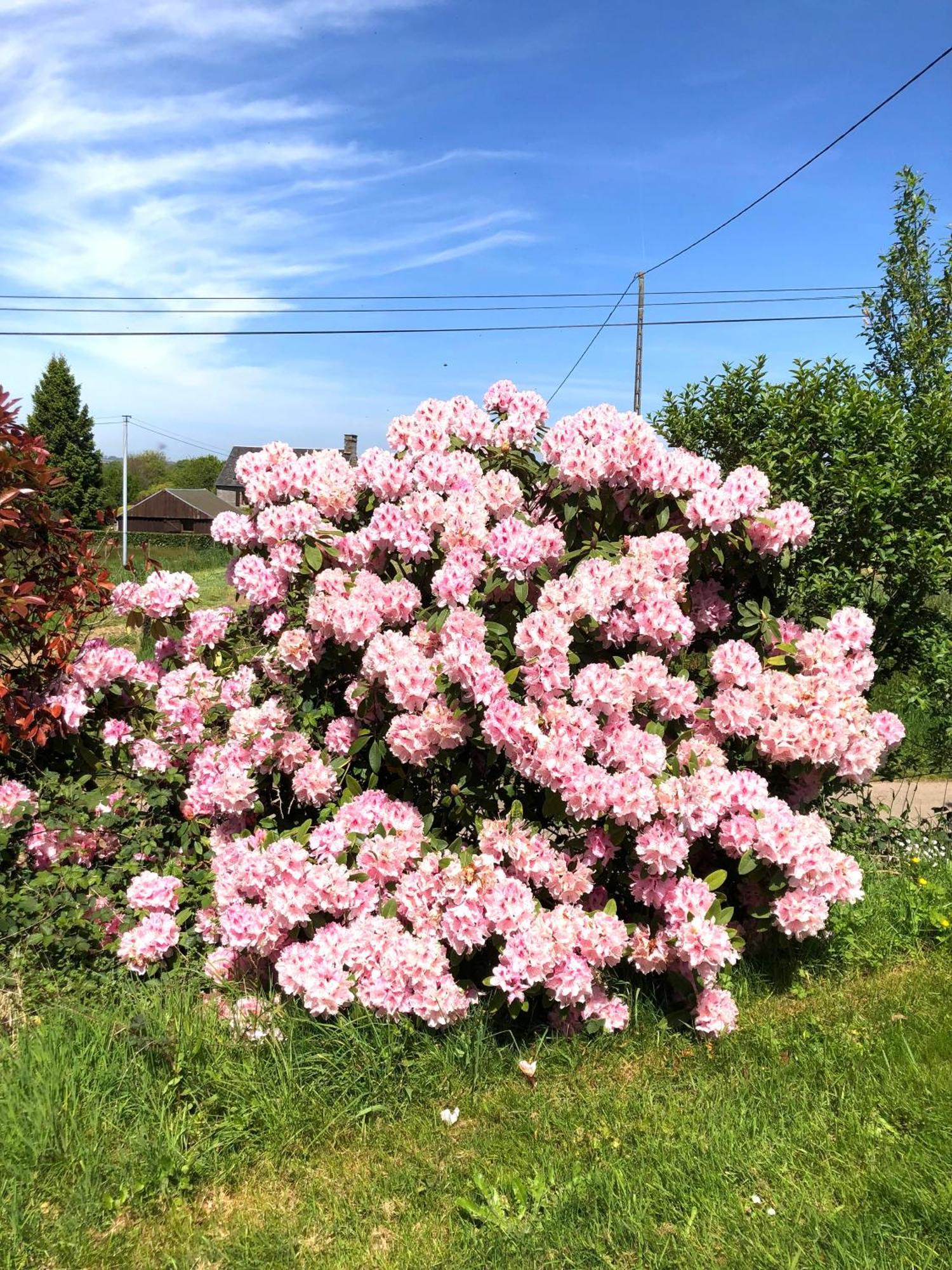 Sourdeval La Blanche Roche B&B 외부 사진